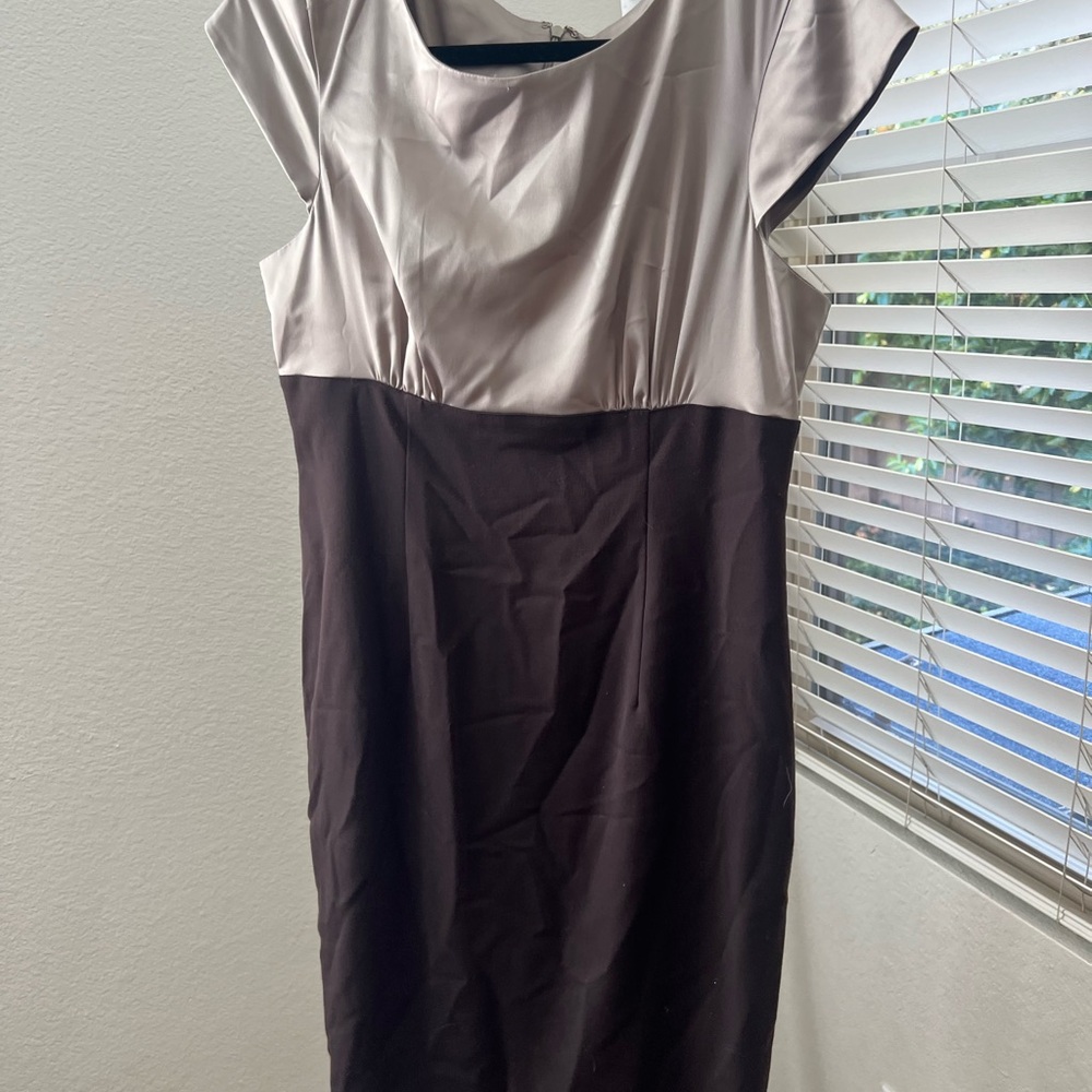 The Limited Brown and Tan Midi Dress